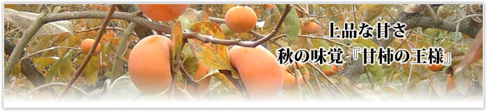 ねっとり濃厚・とろける果肉　秋の味覚『柿の王様』